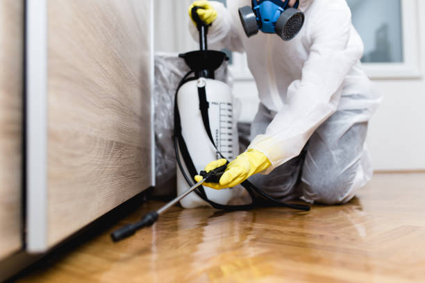 Best Best Pest Control Companies  in Jefferson, WI
