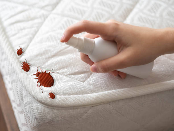 Reliable Jefferson, WI Pest Control Solutions