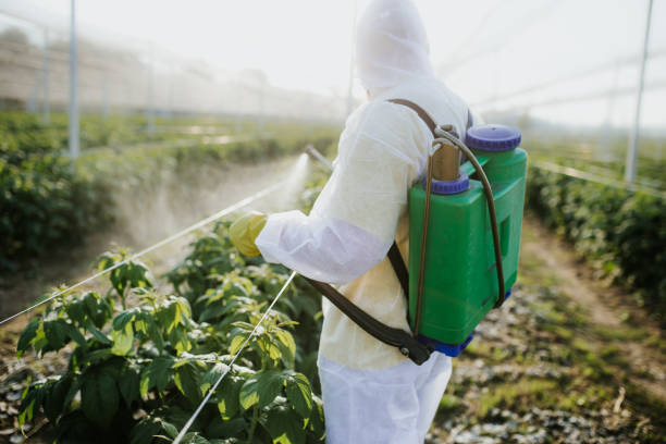 Best Pest Prevention Services  in Jefferson, WI